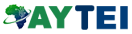 AYEI Logo